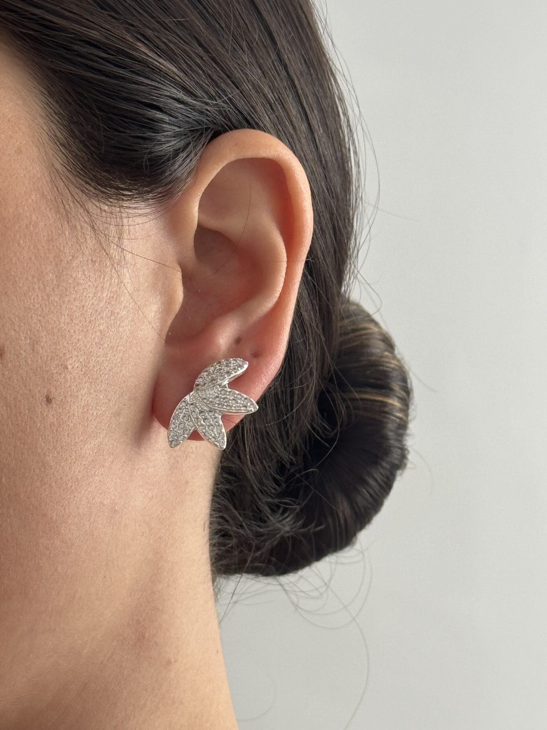 BRINCO CRISTAIS FOLHEADO A PRATA