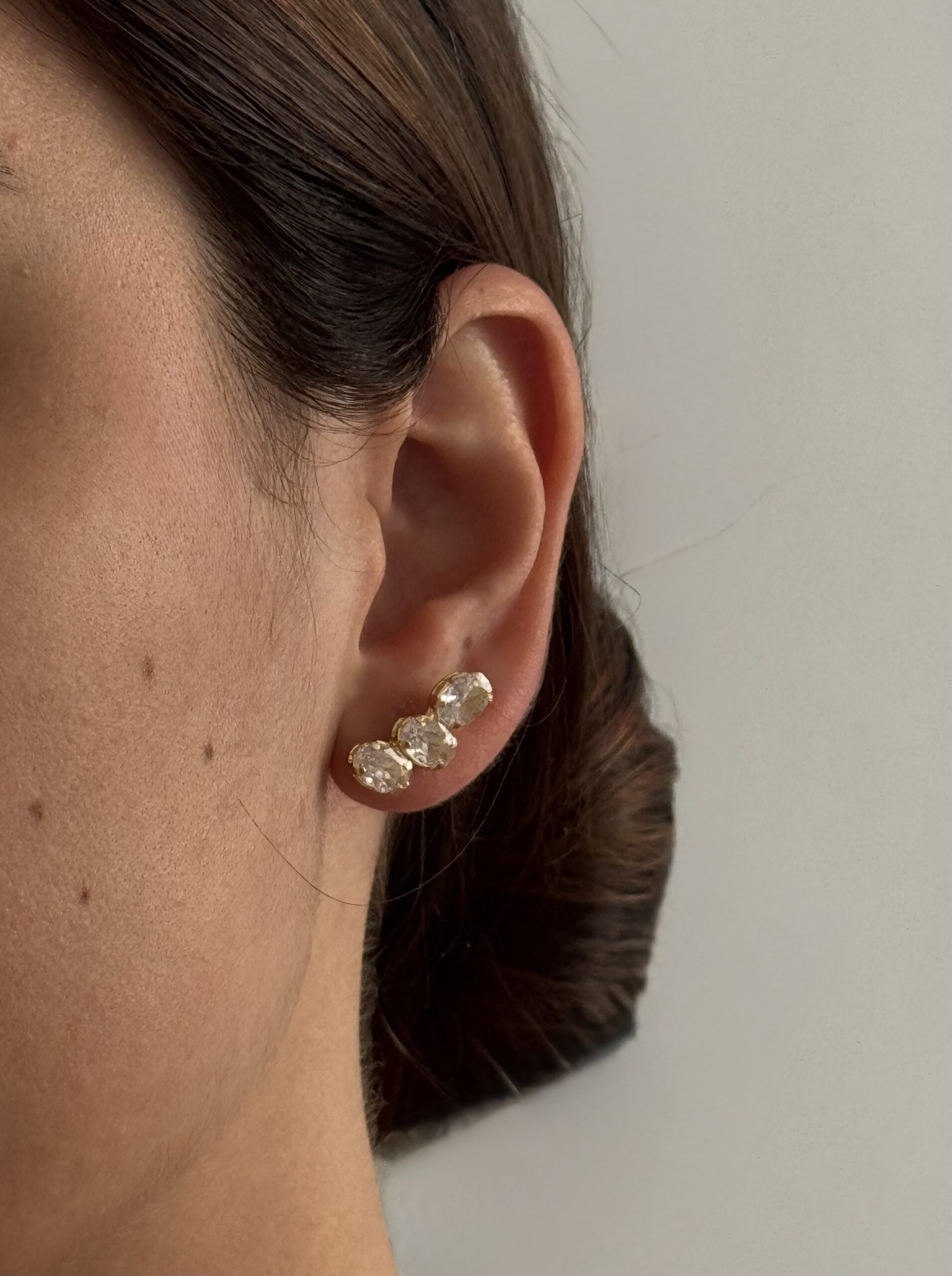 BRINCO CRISTAIS FOLHEADO